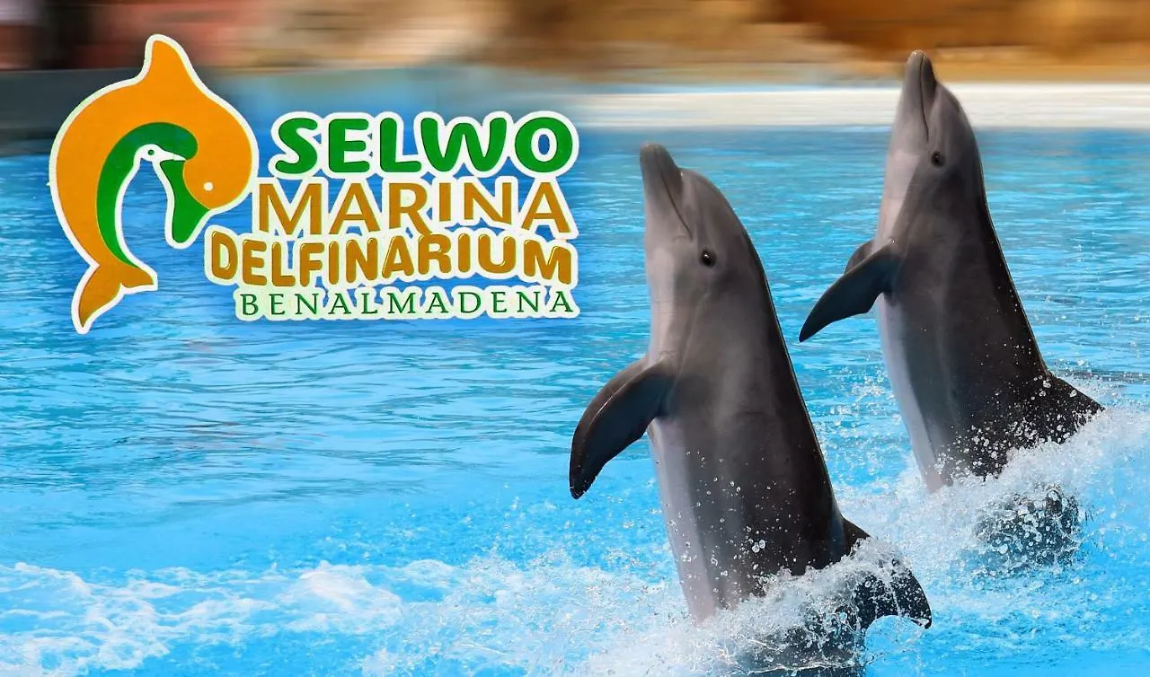 Apartment Apartamento Acuario
